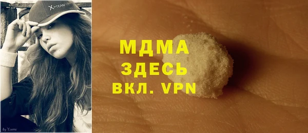 индика Абинск