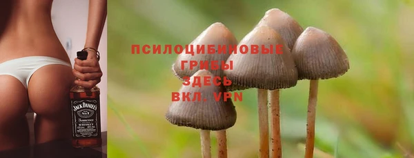 индика Абинск