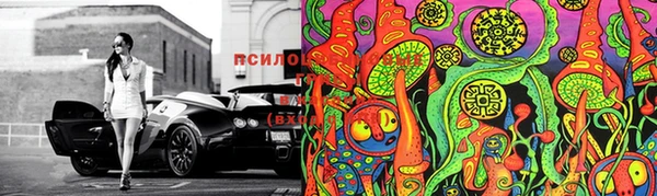 марки nbome Новый Уренгой