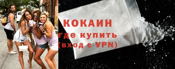 шишки Наволоки