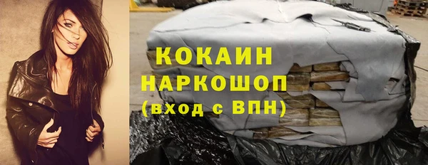 индика Абинск