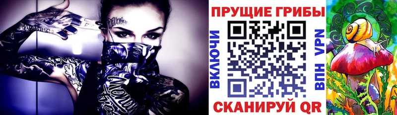 как найти   Лесозаводск  Псилоцибиновые грибы ЛСД 