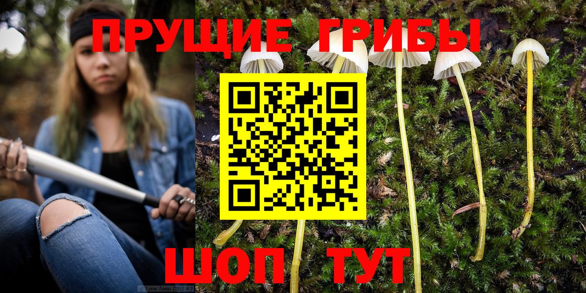 Псилоцибиновые грибы мухоморы Лесозаводск