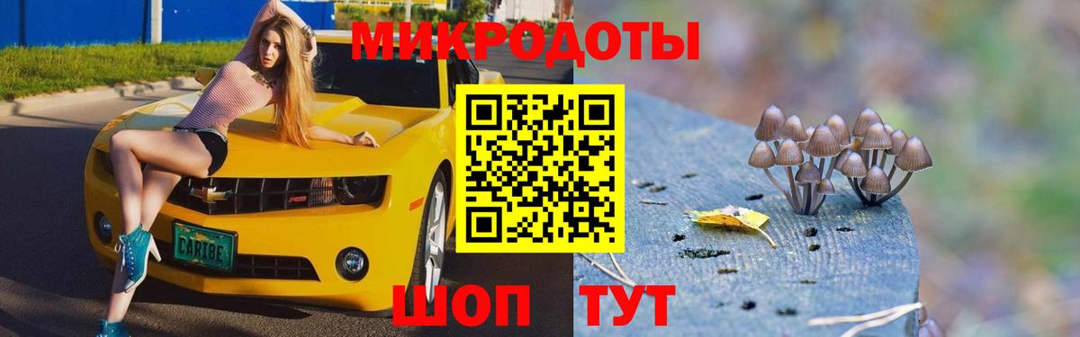 Псилоцибиновые грибы Cubensis  Вход с VPN  Галлюциногенные грибы Psilocybine cubensis  Лесозаводск 